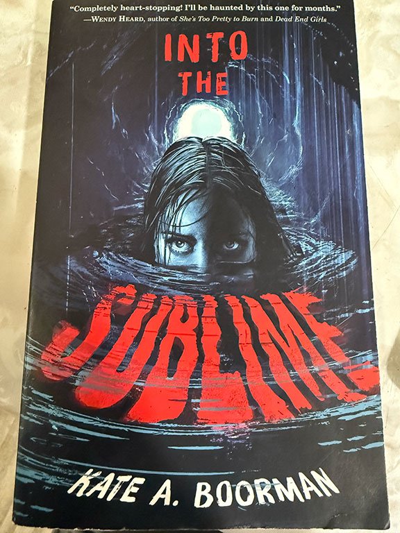 Into the Sublime cover